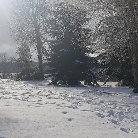Διαμέρισμα En Famille 3 Etoiles A 30min Des Pistes De Mont Dore Sancy Messeix