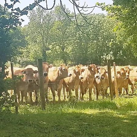 Апартаменты En Famille 3 Etoiles A 30min Des Pistes De Mont Dore Sancy *