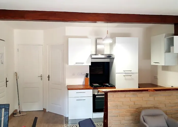 Apartment En Famille 3 Etoiles A 30min Des Pistes De Mont Dore Sancy *