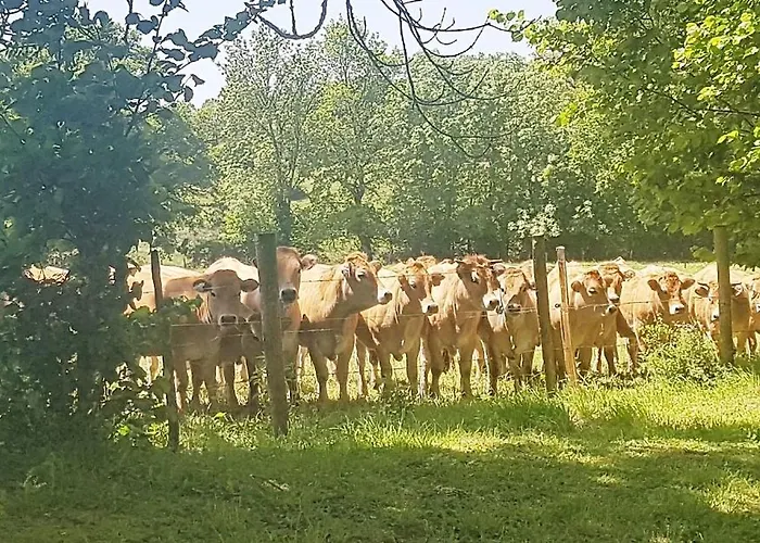 公寓 En Famille 3 Etoiles A 30min Des Pistes De Mont Dore Sancy *